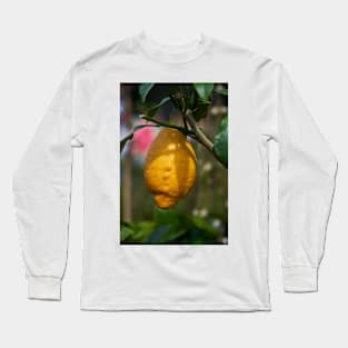 Single lemon in a tree Long Sleeve T-Shirt